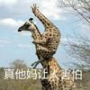 懂个锤子哟