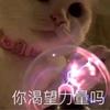 鲁能泰山名宿罗纳尔多
