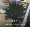 qin_b