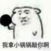烈风杨杨