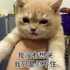 GuoAn小太爷