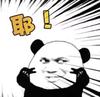 天才老熊猫