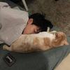 球迷22991414