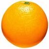 orange橙子