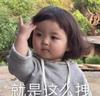 骑蜗牛的乌龟
