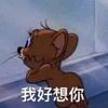 米奇丁当