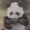 广大毛