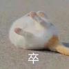 洋葱是万恶之源