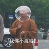 几丁质