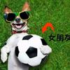 把球传给我呀