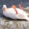 暴走韭菜盒