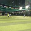 haozi11
