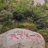 梅溪湖大黑熊