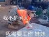 维朕独尊