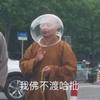 寒彘