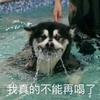 马库斯斯马特