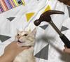 热评