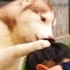 一个独特的热爱