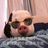 玄沁