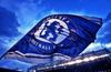 Chelsea-theBlue