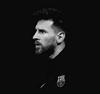 螃蟹大大