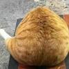风从哪里来丶