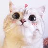 xiaoxinxin566
