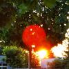 willzomer