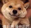 柬埔寨深海鱼团团长