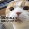 野原向日葵qwq