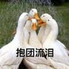 SeVeNOLD