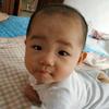 红兵和沈公子小虎二龙