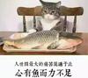 出家肉