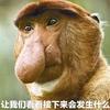 让我们看看接下来会发生啥子事