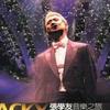 安徽西格纳伊杜纳公园球场小邵