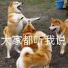 拜仁官员蔡徐坤