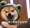 攻菊部