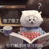 加泰罗尼亚球王7