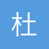 杜回将军