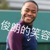 傻大鹅狗猫