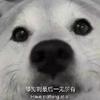 满天球是一个高冷的名字