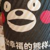 首席球探王