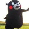 诺言-企业身边财税专家