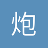 炮灰团林译少校
