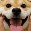 凯哥懂球kkk