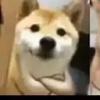 边后卫改中锋