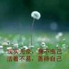 只为了一杯水
