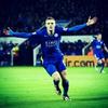 狐狸Leicester