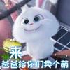 赵大白