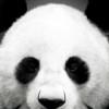 含笑半步癫1985